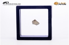 Cairanoolithus sp. – uovo di dinosauro fossile