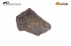 Cairanoolithus sp. – uovo di dinosauro fossile