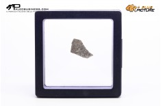 Frammento d'uovo di Sauropode Megaloolithus siguruei