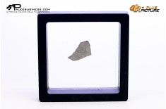 Frammento d'uovo di Sauropode Megaloolithus siguruei