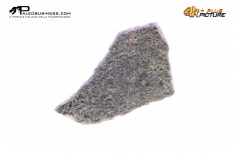 Frammento d'uovo di Sauropode Megaloolithus siguruei