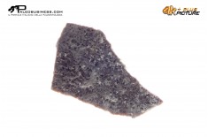 Frammento d'uovo di Sauropode Megaloolithus siguruei