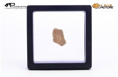 Megaloolithus siguruei – uovo di dinosauro fossile
