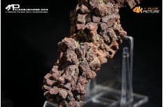 Coprolite