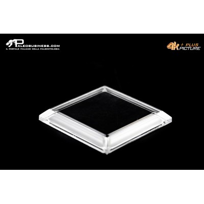 Base quadrata 5×5 cm con mastice incluso per campioni di fossili e minerali