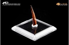 Base quadrata 5×5 cm con mastice incluso per campioni di fossili e minerali
