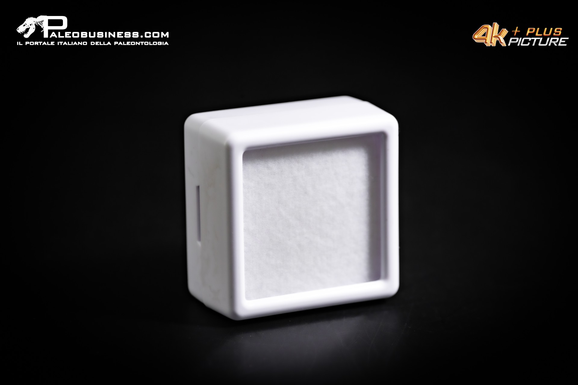 Box espositivo micro-reperti 30 mm – bianco