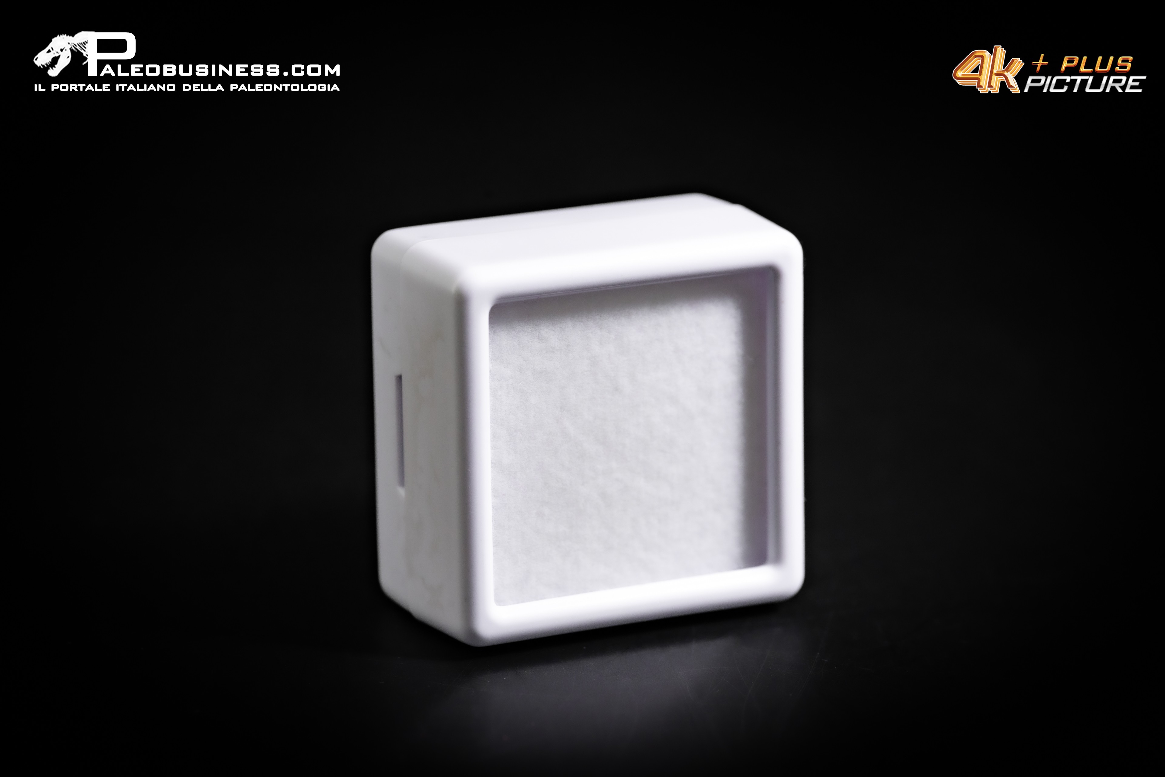 Box espositivo micro-reperti 30 mm – bianco
