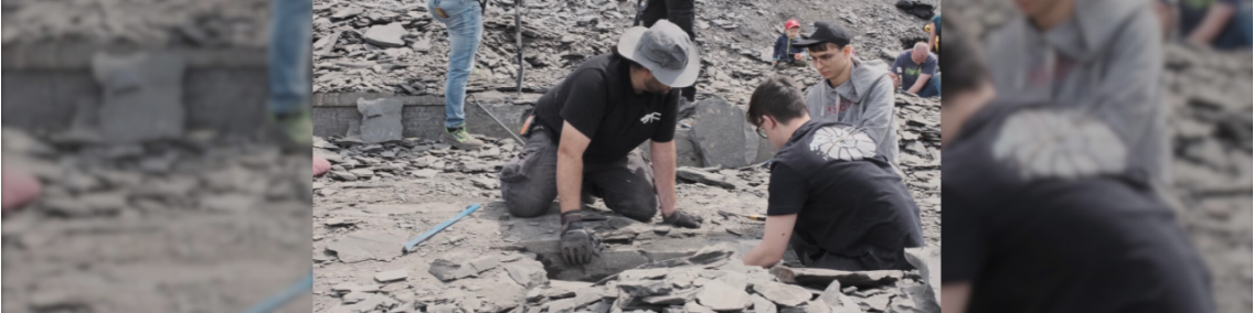 Esperienza paleontologica in Germania: Holzmaden e Buttenheim | Paleobusiness