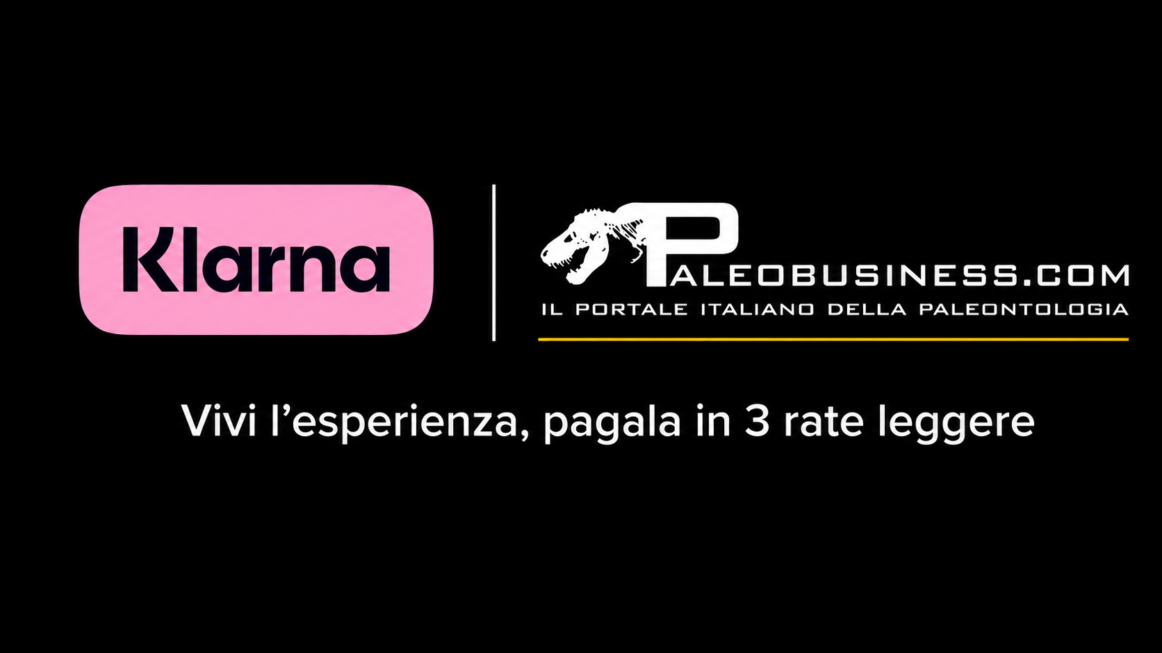 Vivi l’esperienza, pagala in 3 rate leggere con Klarna su Paleobusiness